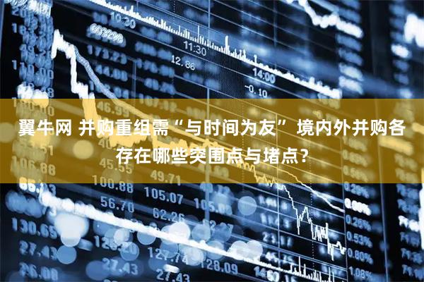 翼牛网 并购重组需“与时间为友” 境内外并购各存在哪些突围点与堵点？