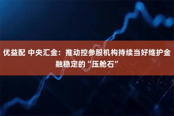 优益配 中央汇金：推动控参股机构持续当好维护金融稳定的“压舱石”
