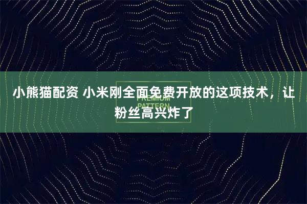 小熊猫配资 小米刚全面免费开放的这项技术，让粉丝高兴炸了