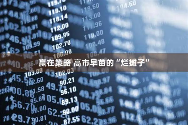 赢在策略 高市早苗的“烂摊子”