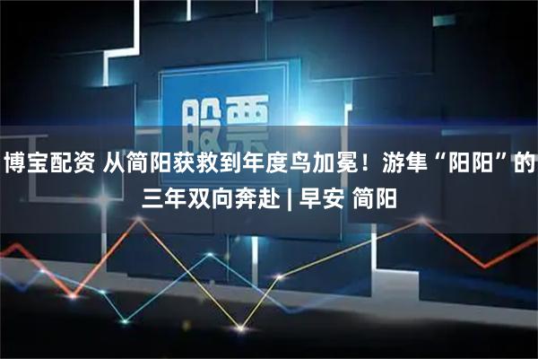 博宝配资 从简阳获救到年度鸟加冕！游隼“阳阳”的三年双向奔赴 | 早安 简阳