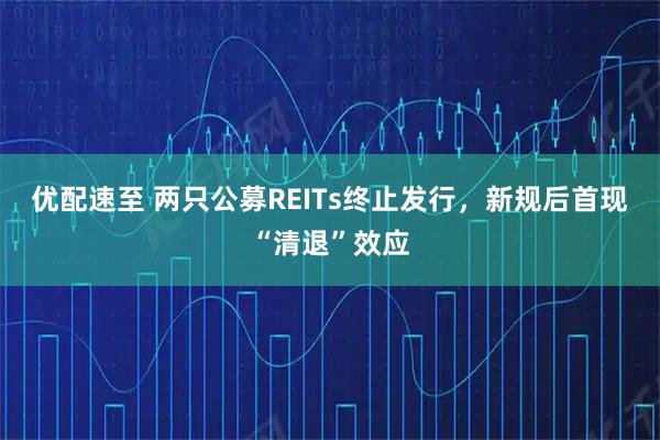 优配速至 两只公募REITs终止发行，新规后首现“清退”效应